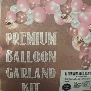 Balloon Arch for Parties!pink and Champaign colors